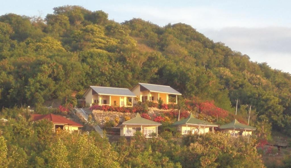 Photo of Others in Labuan Bajo