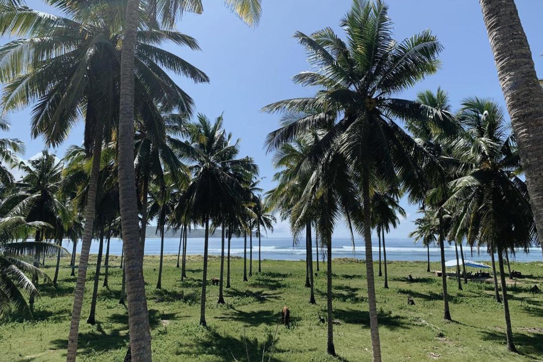Photo of Others in Nihiwatu