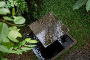 Photo of Others in Ragunan