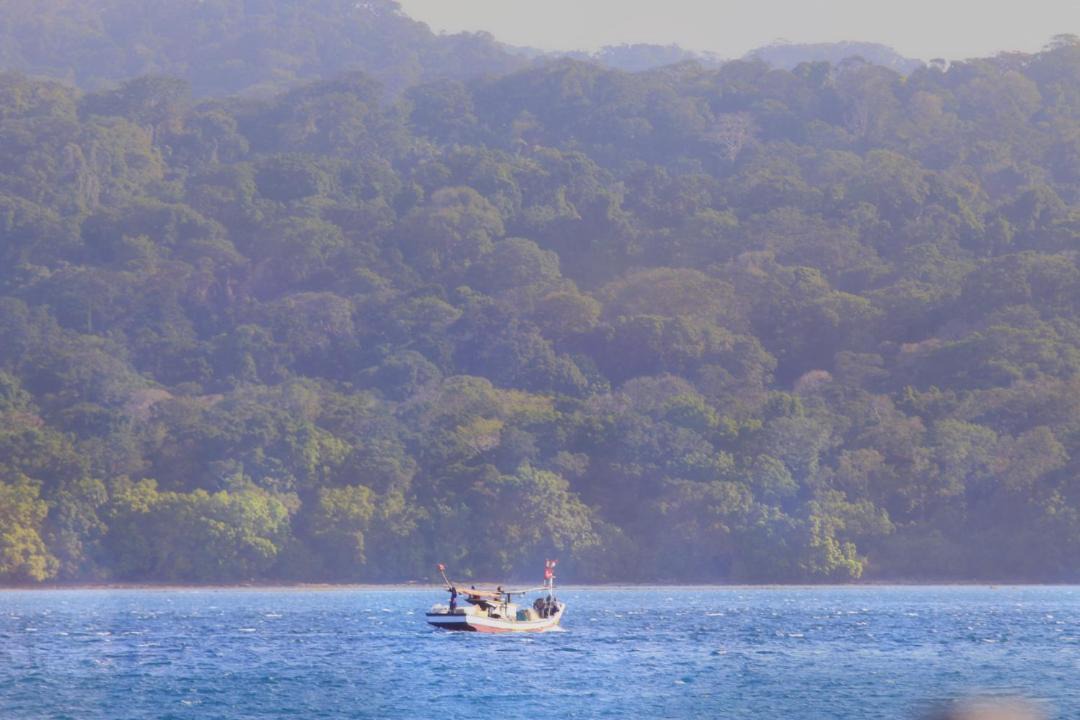 Photo of Others in Peucang Island