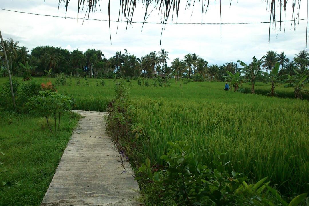 Photo of Others in Tjimadja