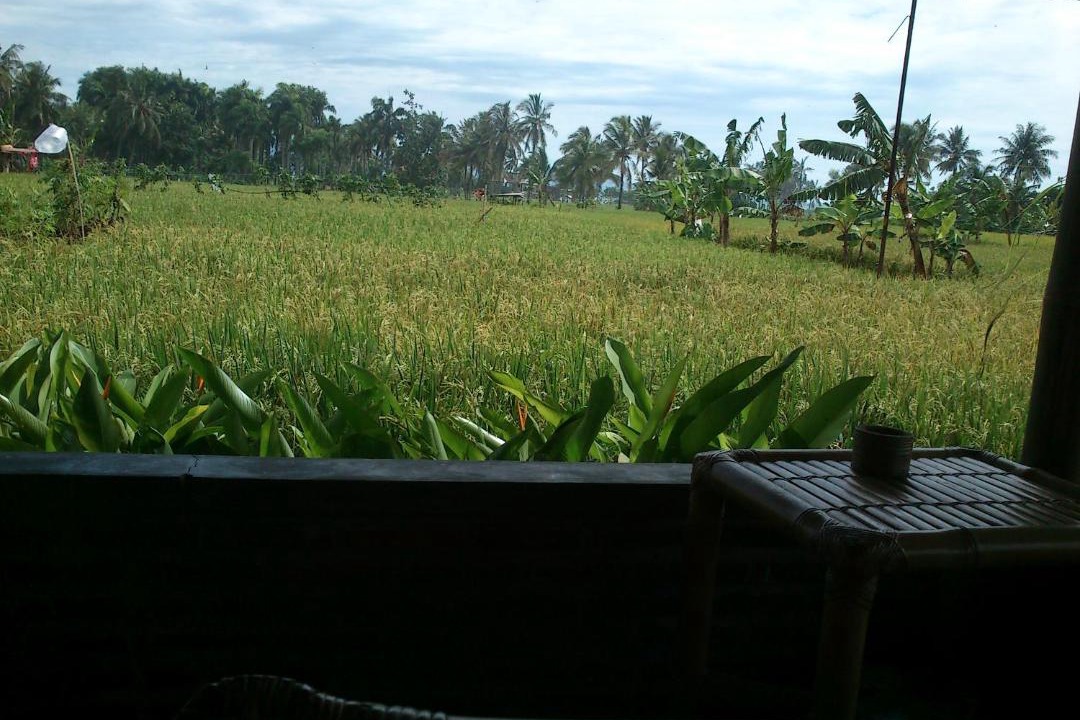 Photo of Others in Tjimadja