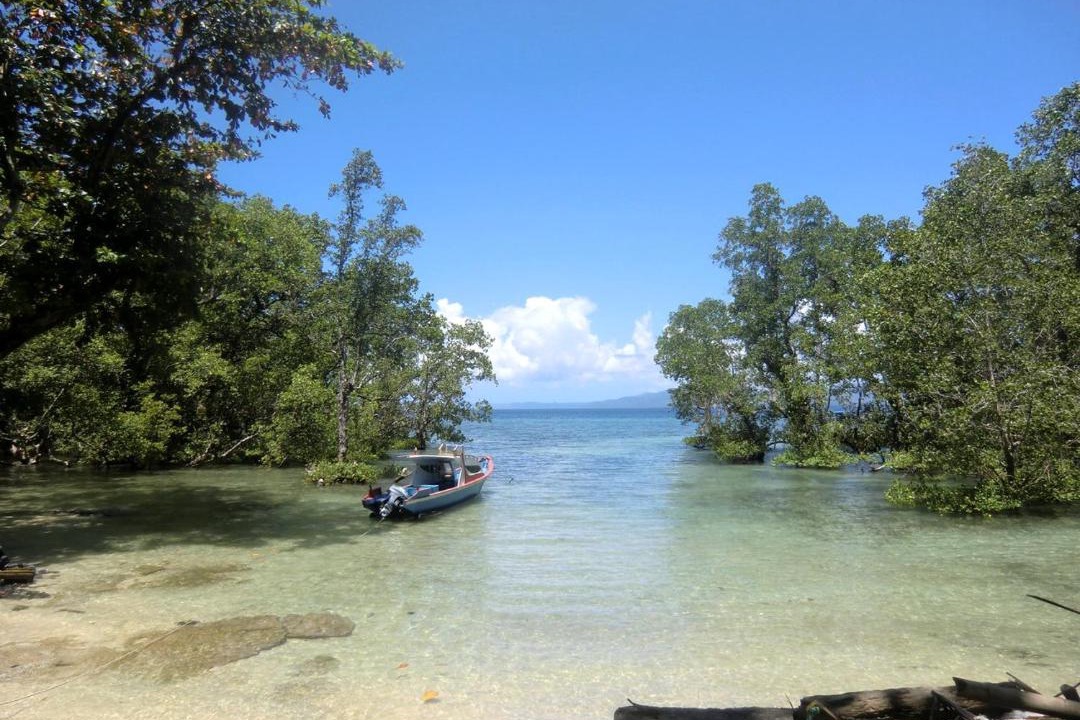 Photo of Others in Bunaken