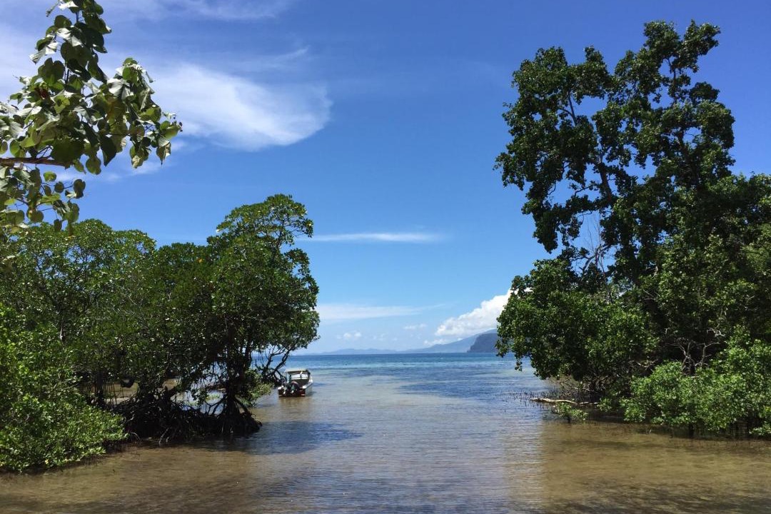 Photo of Others in Bangka Island
