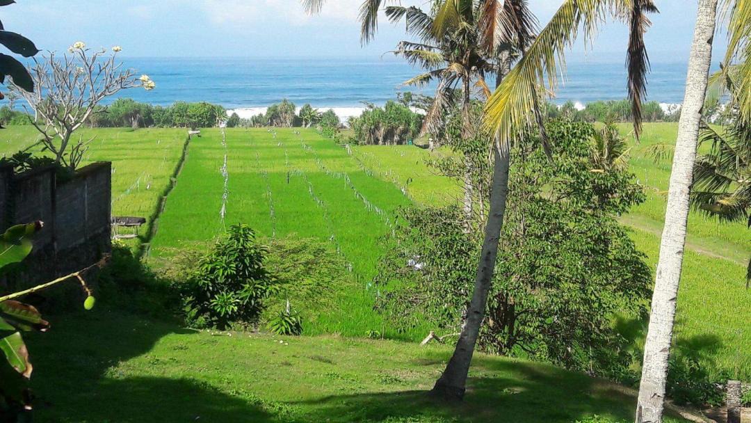 Photo of Others in Pulukan