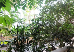 Elegant Studio Mustika Golf Residence Apartment in North Cikarang