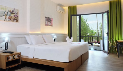 Deluxe Premier Room