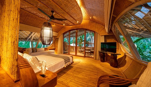 Cocoon Jungle