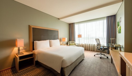 Room, 1 King Bed, Accessible