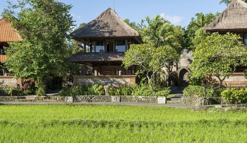 Classic Duplex Rice Field View