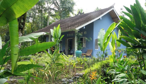 Premium Villa