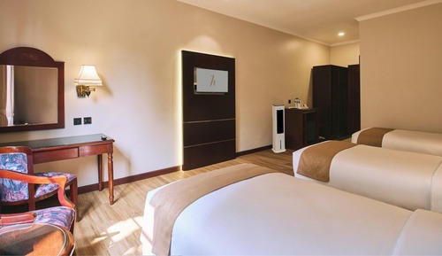 Deluxe Lodge Triple (With Air Cooler)