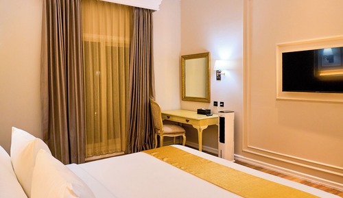 Deluxe Palace Queen (With Air Cooler)