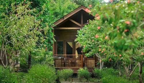 Basic Double or Twin Room, 2 Twin Beds, Garden View