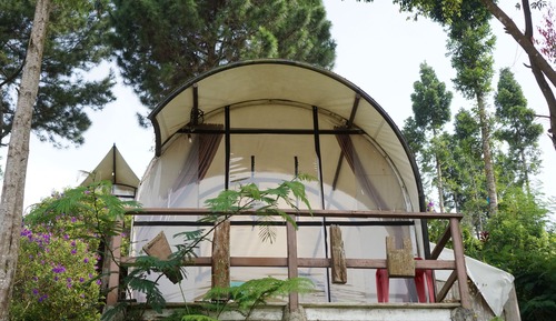 Camp Sitrus