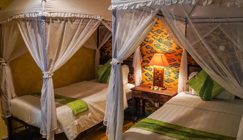 Deluxe Double or Twin Room, Non Smoking