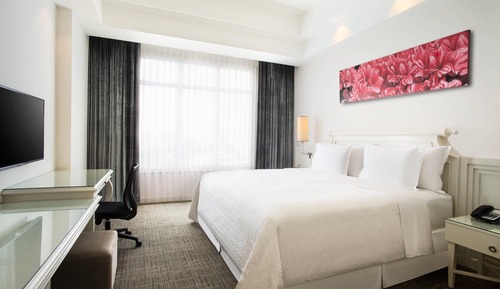 Room, 1 King Bed