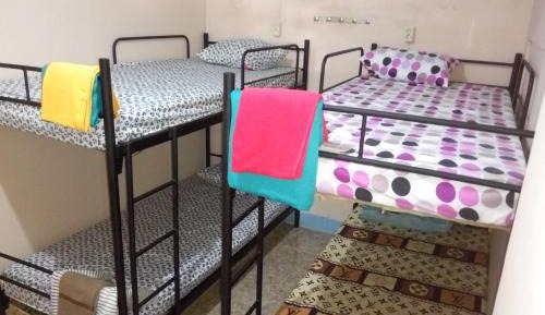 Bunk Bed in Mixed Dormitory Room