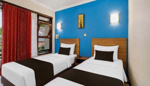 Delxue Twin Room