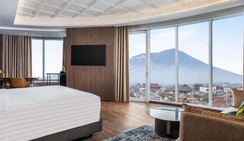 Deluxe King Suite