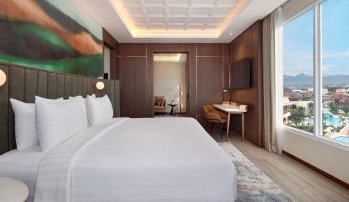 Privilege King Suite