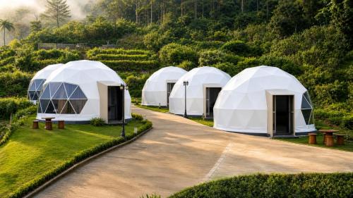 Glamping Dome