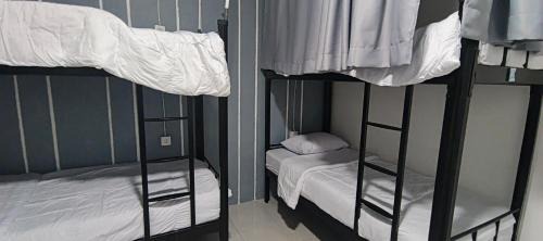 Bunk Bed in Male Dormitory Room 