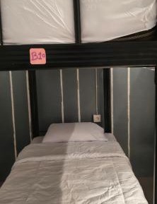 Bunk Bed in Male Dormitory Room 