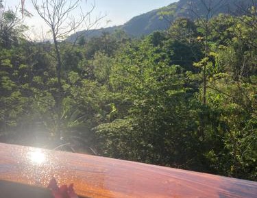 Suite with Mountain View