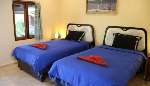 Twin Room with Garden View