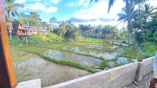 Double Room with Pool View