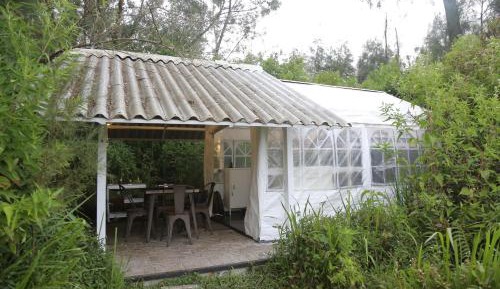 Double or Twin Room with Terrace