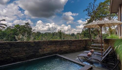 Hoshi Jungle Suite Pool