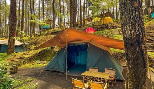 Tent