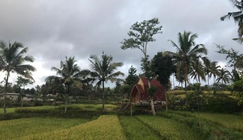 King Room with Garden View