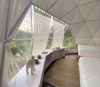 Family Dome Tent