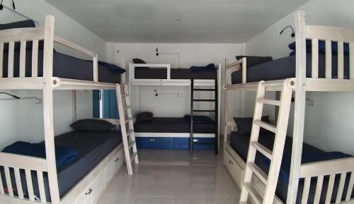 6-Bed Mixed Dormitory Room