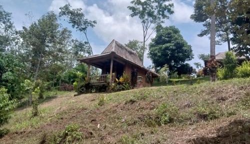 Deluxe Bungalow with Garden View