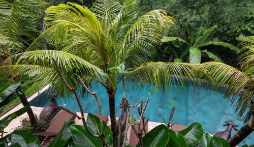 Deluxe Pool Access with Terrace