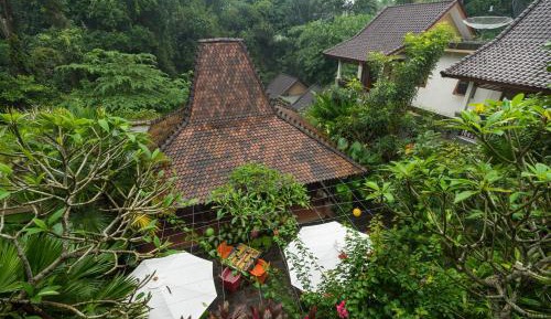 Superior Double Jungle View with Balcony