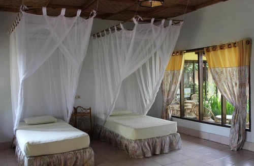 Bukit Lawang Hotel | Ecolodge Bukit Lawang