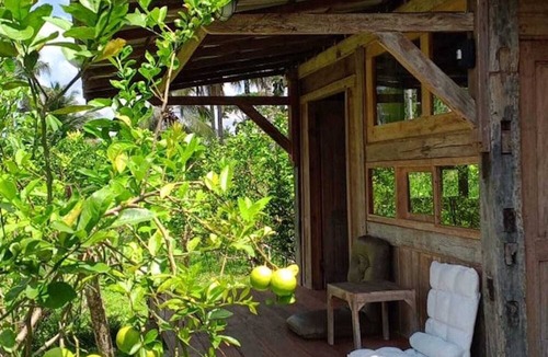 Kalipuro Cabin | Homestay Ijen Lemonhouse