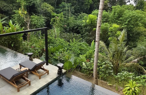 Bangunjiwo Hotel | Lotus Forest Houses