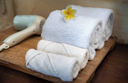 Singakerta Hotel | Aryaswara Villa Ubud