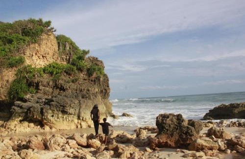 Southwest Sumba House | Sella Homestay Wainyapu Sumba