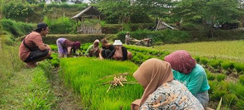 Tetebatu House | Future Retreat Homestay