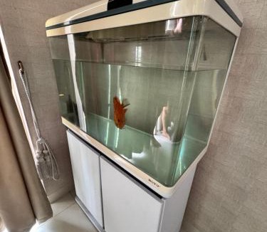 Old Jakarta Apartment | Ancol Mansion Apartment Horizon Living
