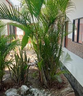 Labuan Bajo House | Aileen Guesthouse