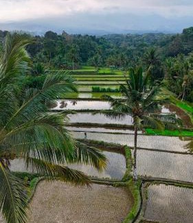 Tetebatu House | Tetebatu spices cottage