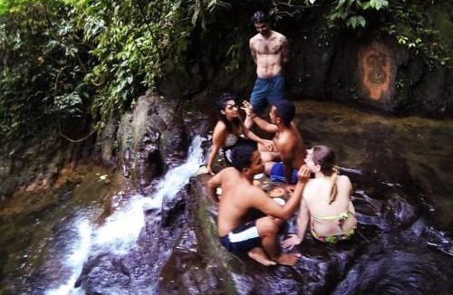 Bukit Lawang House | Green View Homestay & Jungle Trekking, Book Your Jungle Trek & Stay With Us